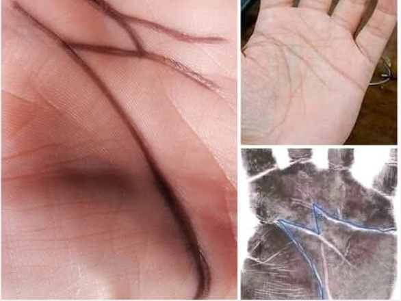 Having the letter M on the Palm of your hand means that