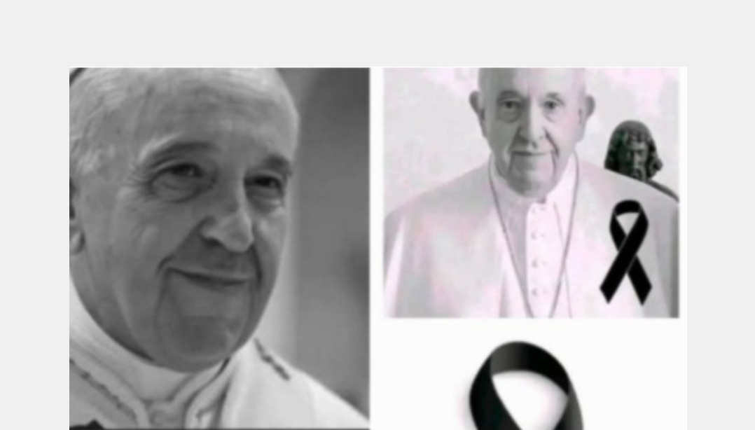 190 Breaking News! His Holiness Pope Francis Has Failed….. See More